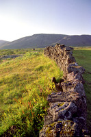 Old Farm wall at 10pm, Iceland, July'04