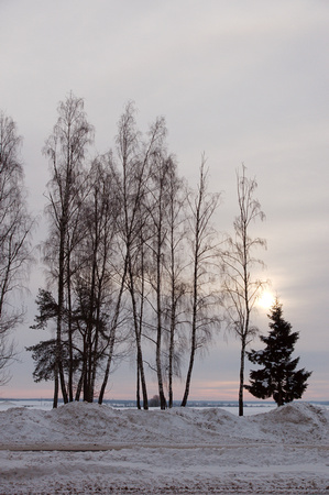Morning view on the way to Mir
